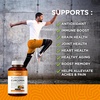 image:imageTurmeric Curcumin with BioPerine Black Pepper and Ginger  60 Vegetarian Capsules for Advanced Absorption Joints Support